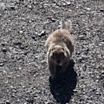 Screen Shot 2016-07-14 at 11.09.16 PM.jpg